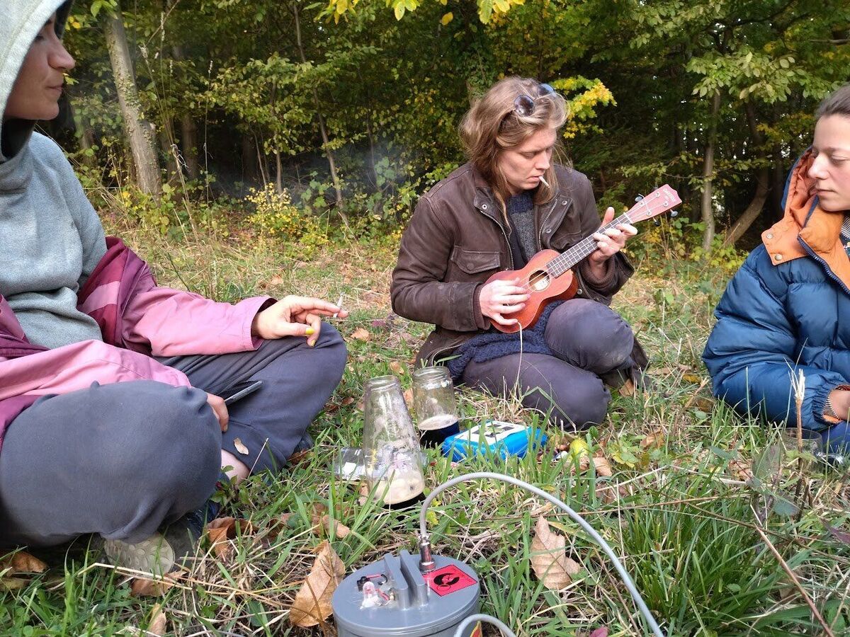DIY Microscopy soil samples