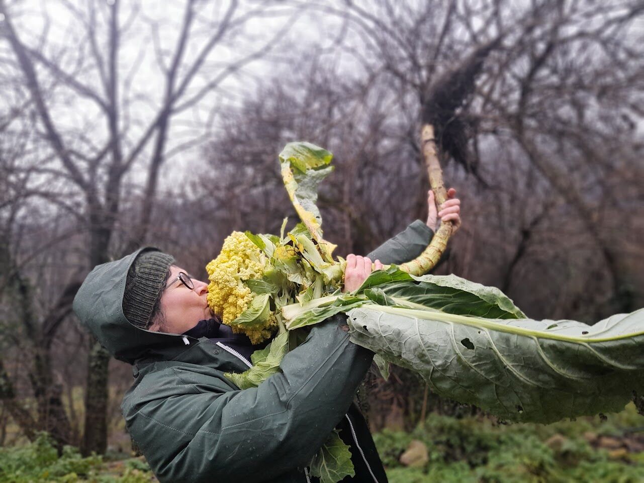 Volunteering at Rizoma