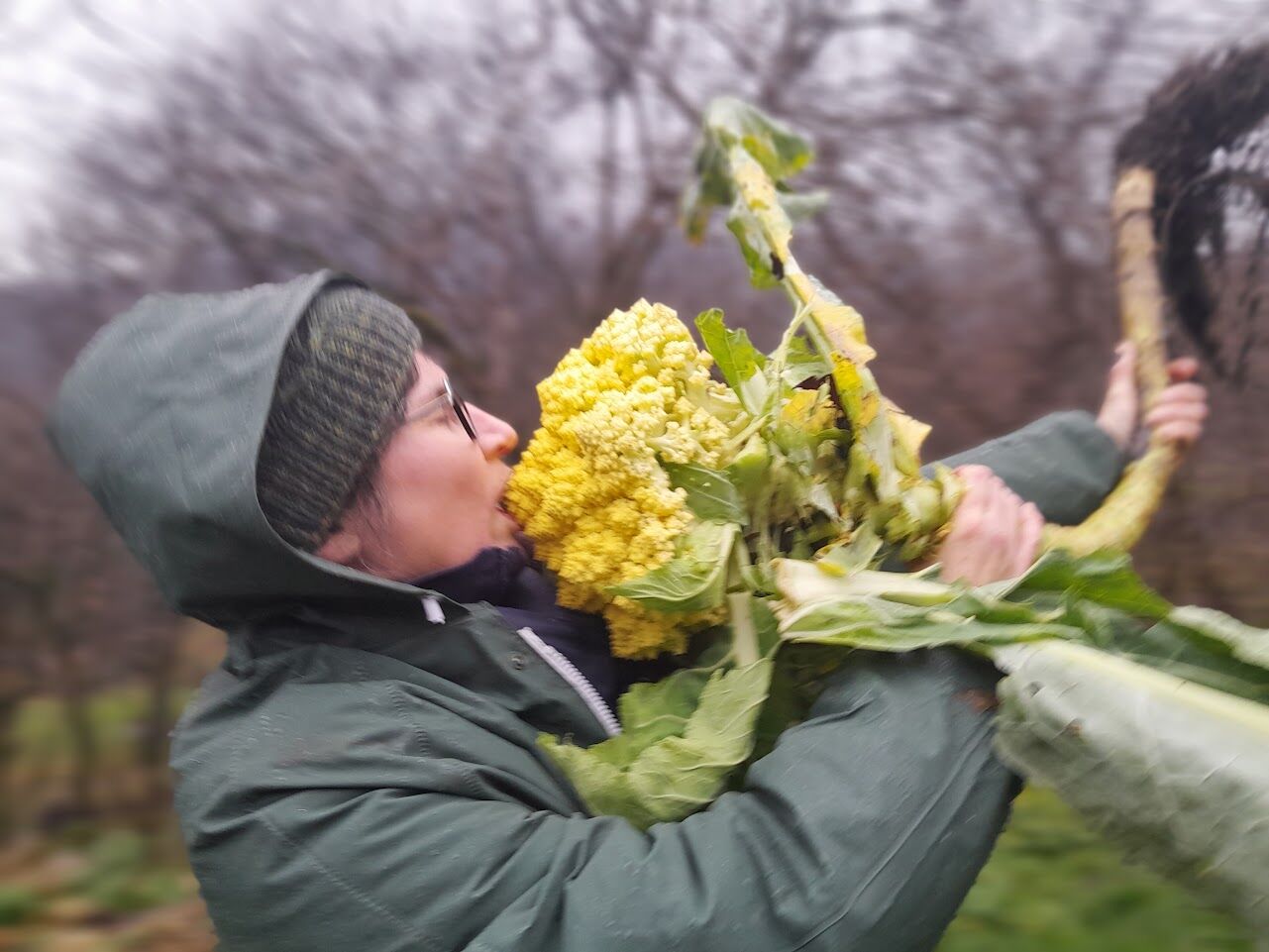 Volunteering at Rizoma